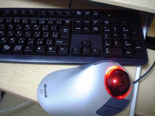 V6010001.JPG